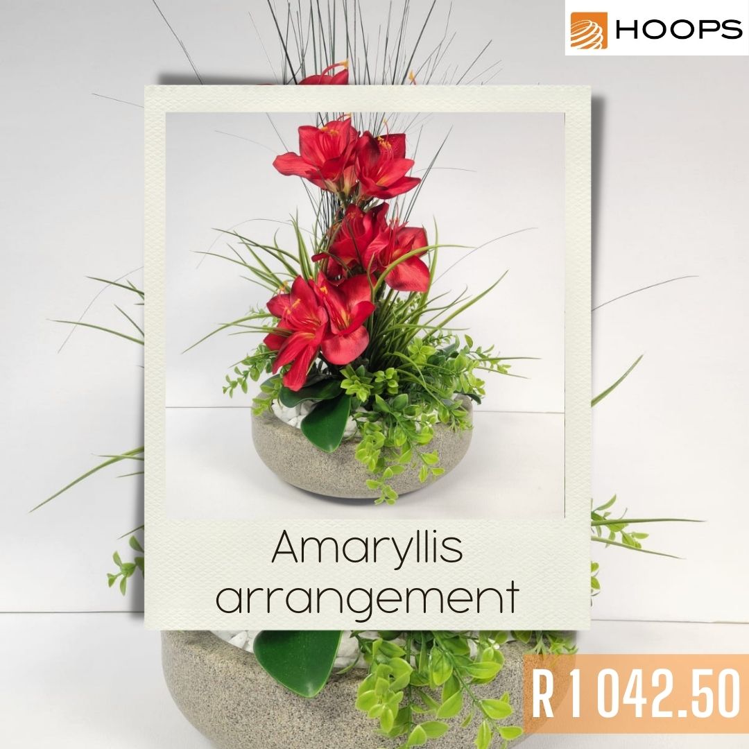 Amaryllis arrangement - Hoops