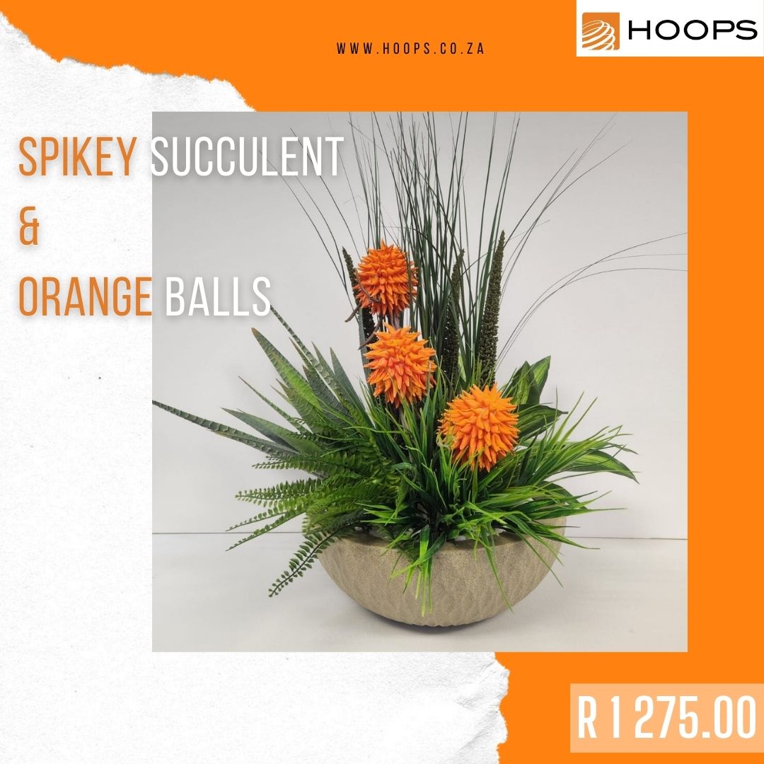 Spikey Succulent & Orange balls - Hoops