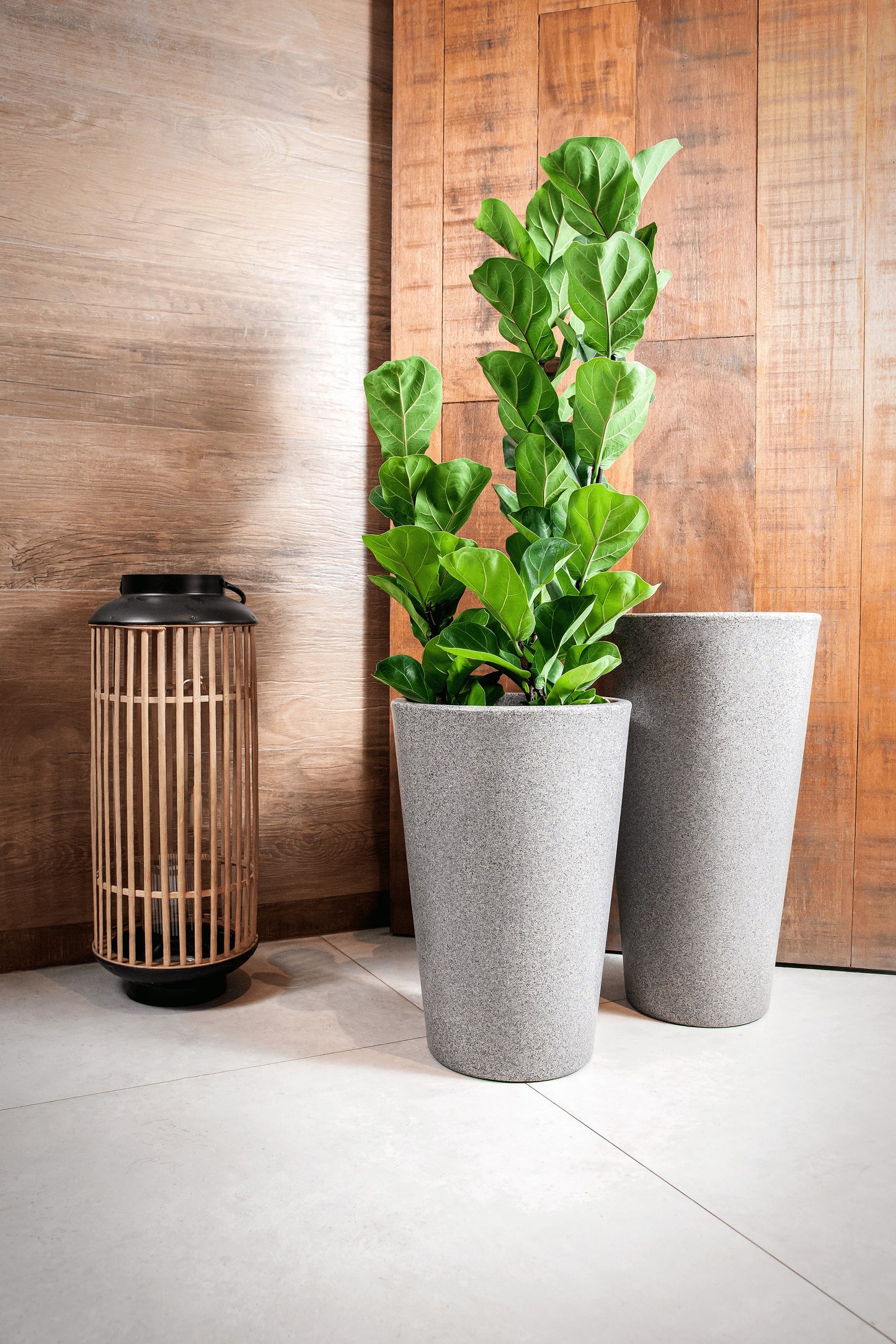 Aldora Conical flower pot 45 - Hoops