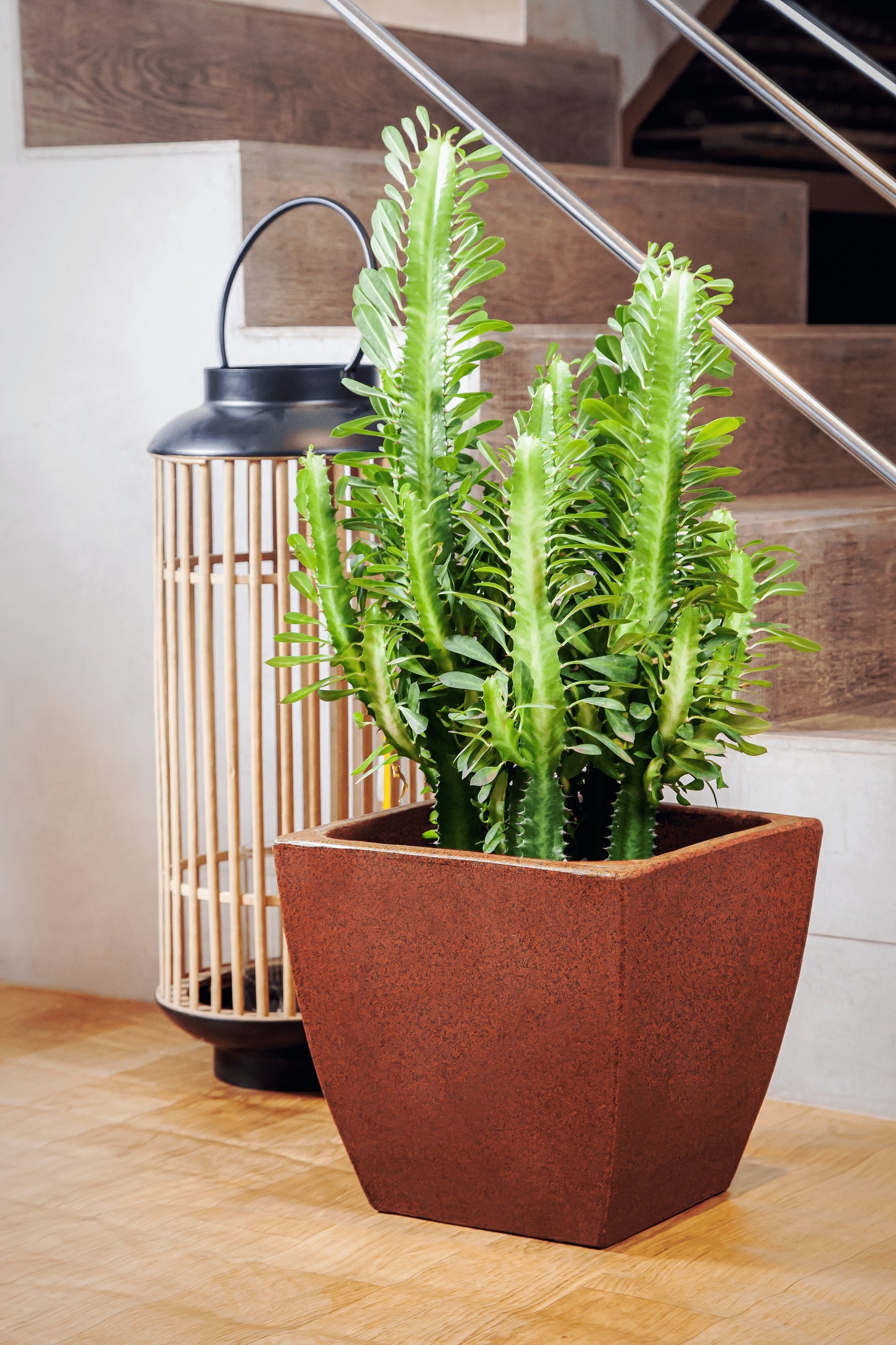 Apollo cubic flower pot 54 - Hoops