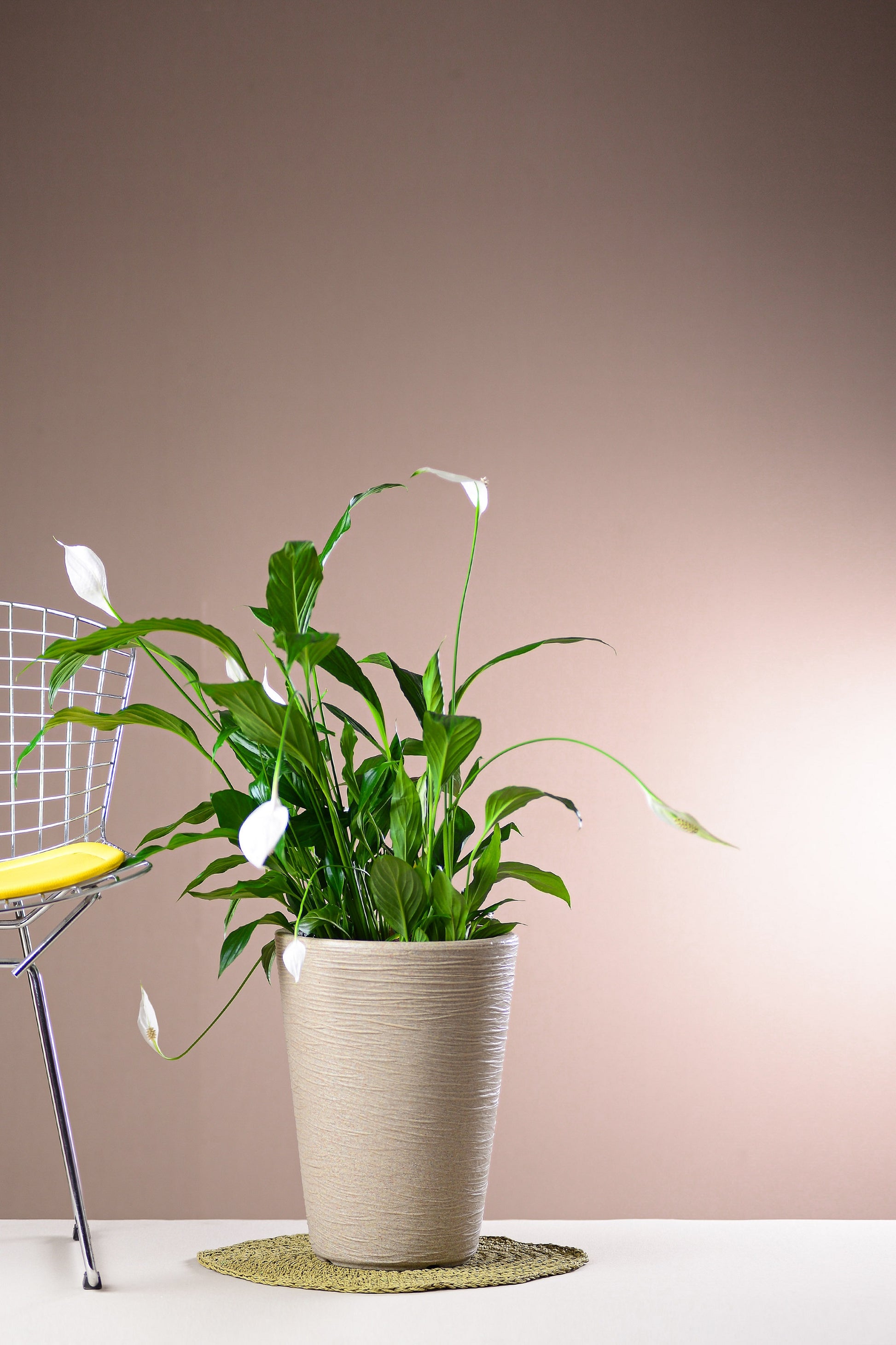 Capri conical flower pot 38 - Hoops