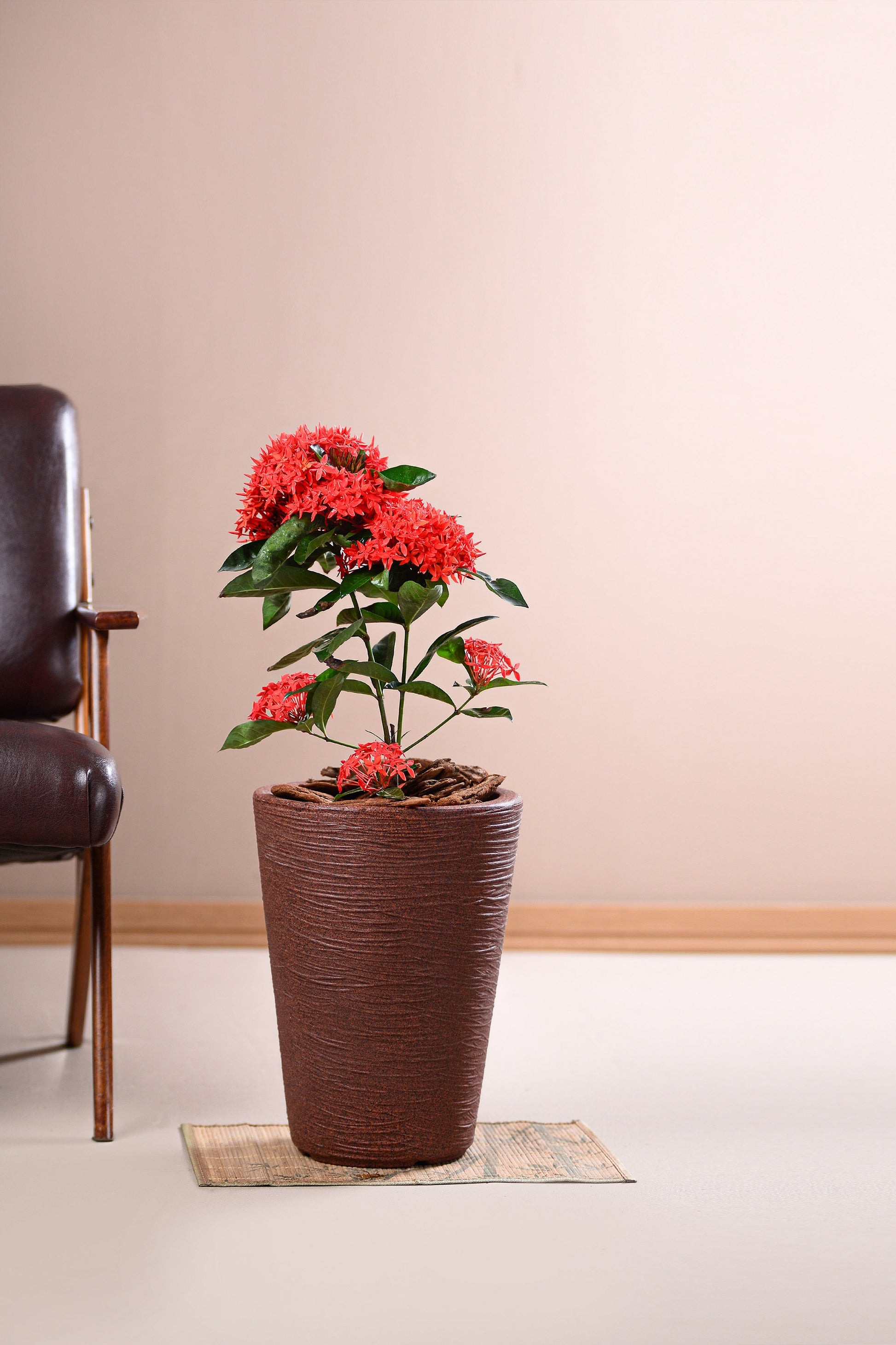 Capri conical flower pot 53 - Hoops