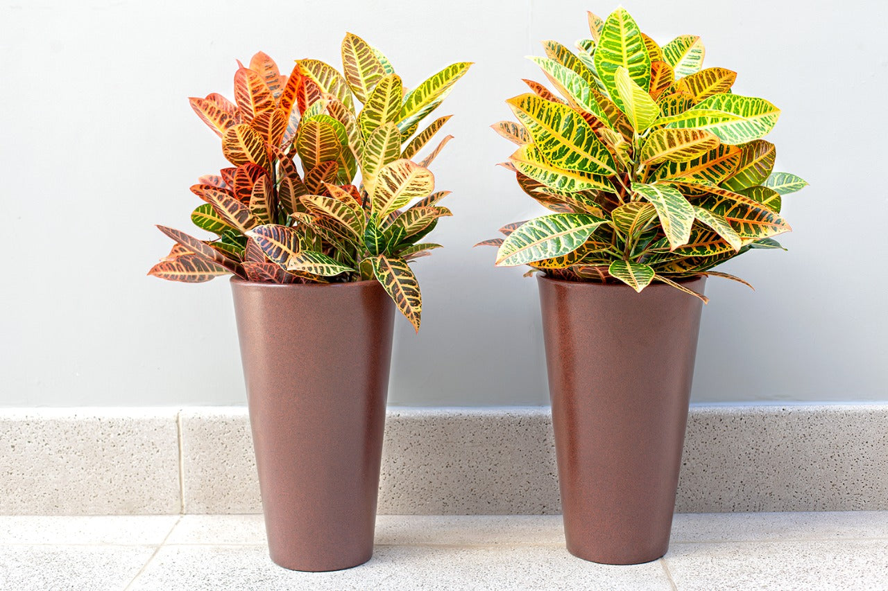 Aldora Conical flower pot 56 - Hoops