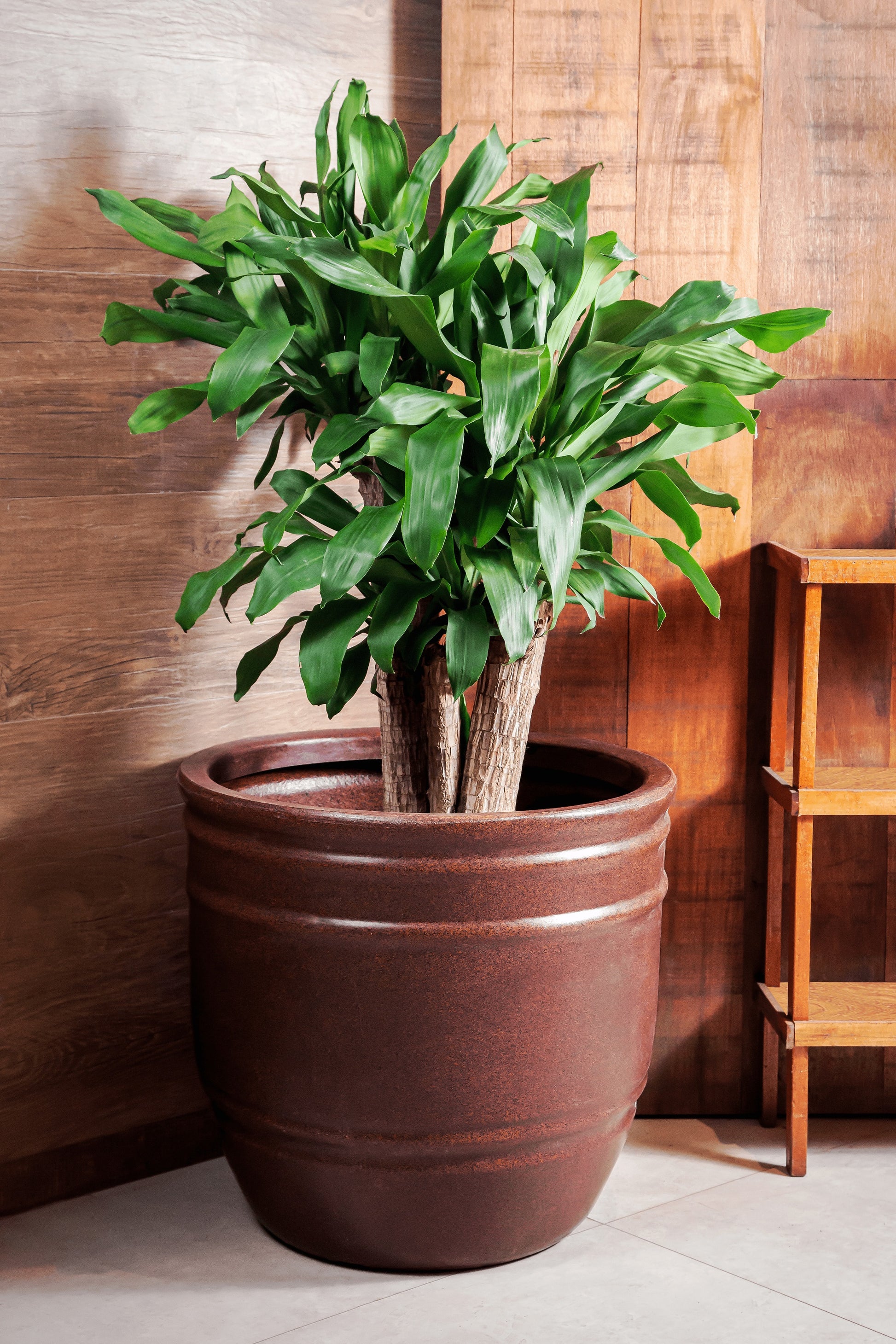 Rome colonial flower pot 45 - Hoops