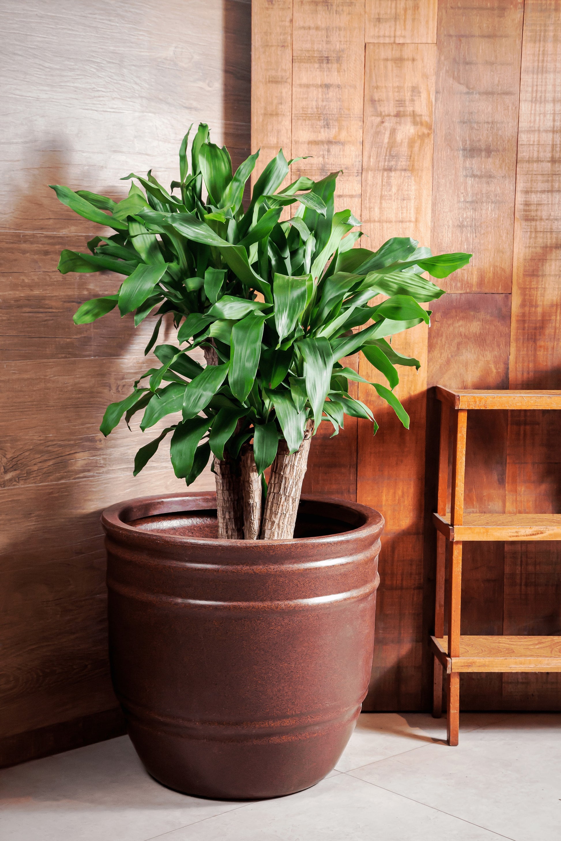 Rome colonial flower pot 55 - Hoops