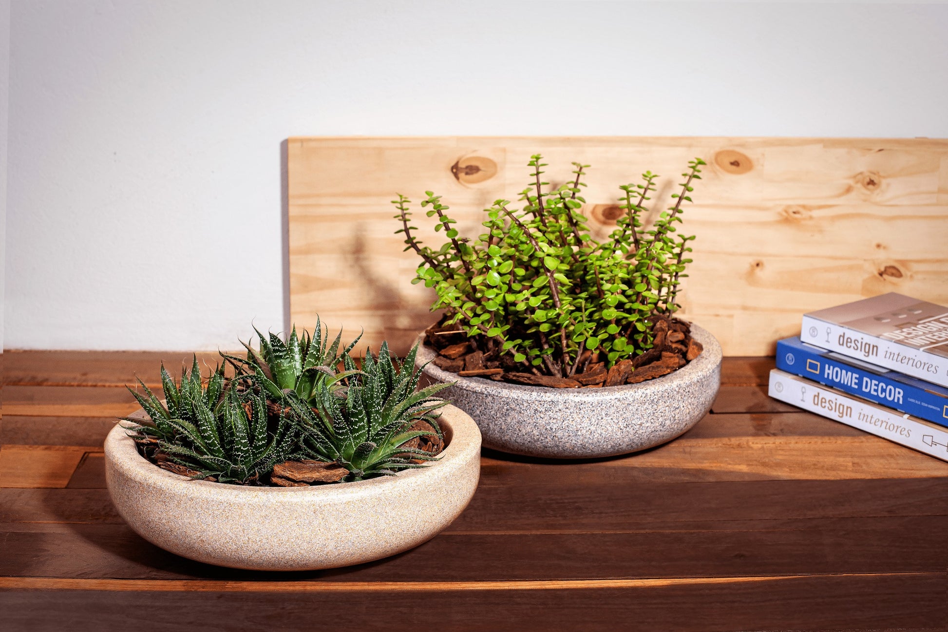 Sapphire flower pot 10 - Hoops