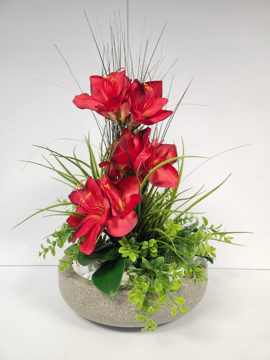 Amaryllis arrangement - Hoops