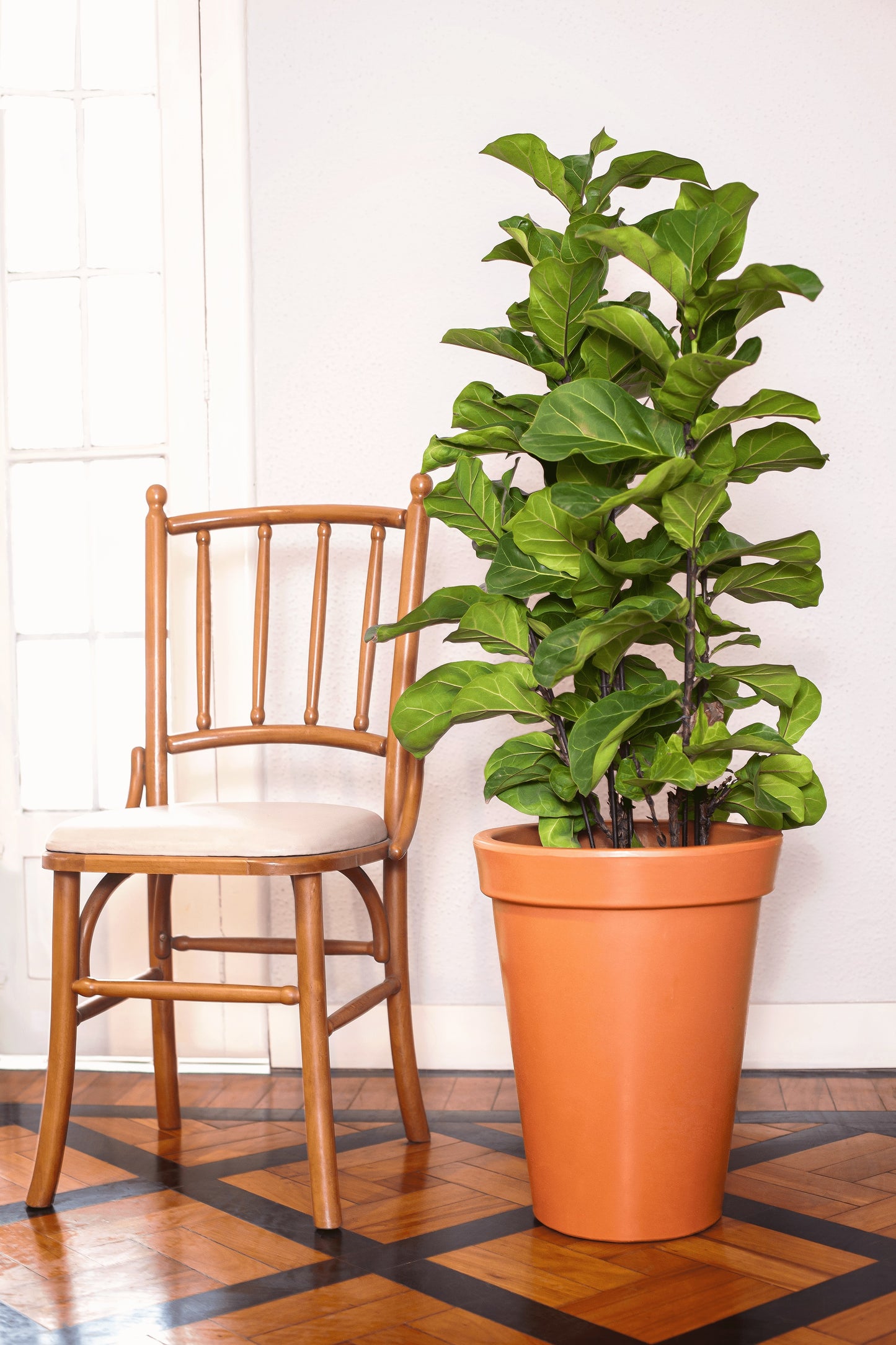 Athens conical flower pot 66 - Hoops