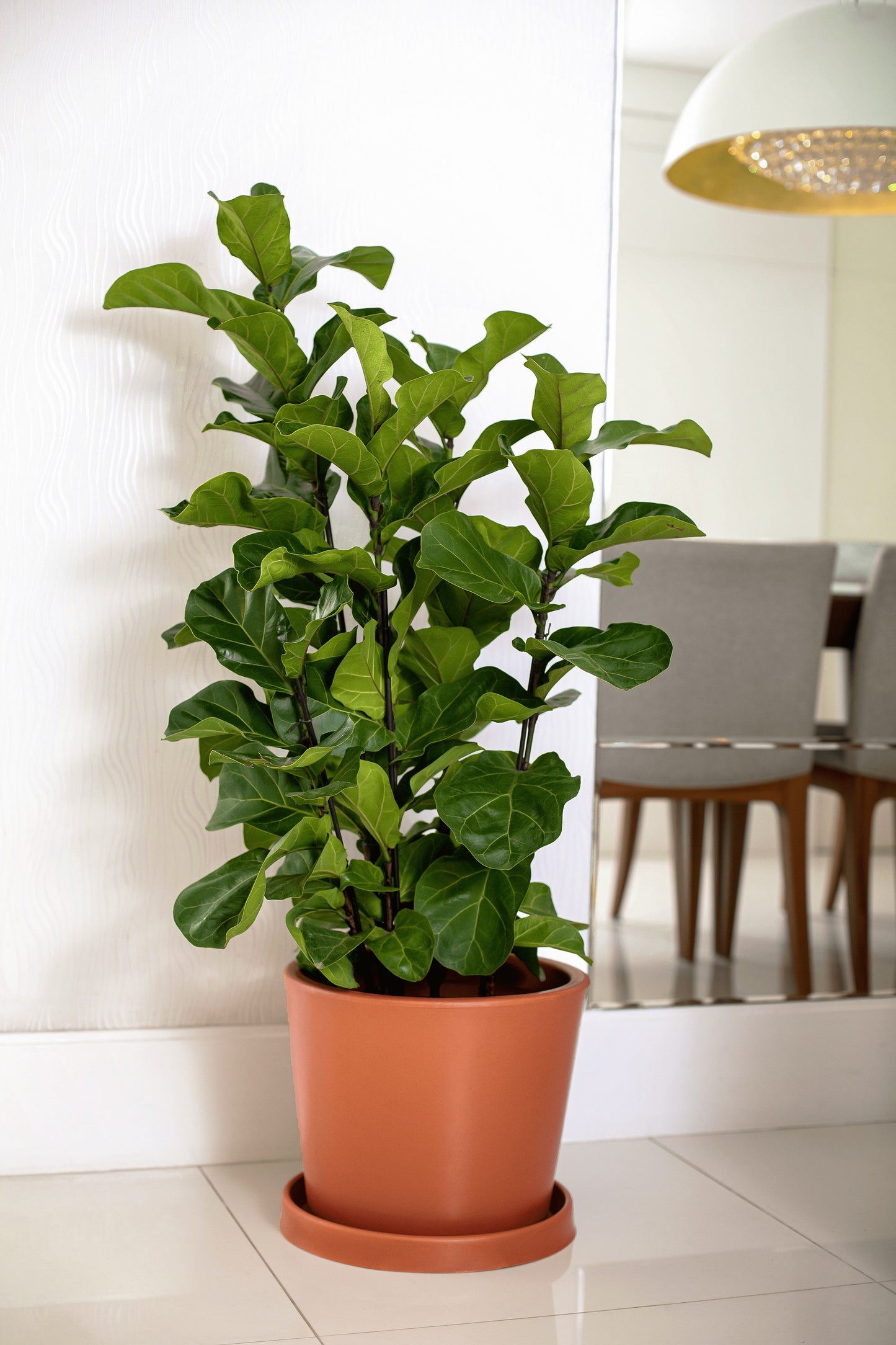 Badi flower pot 28 - Hoops