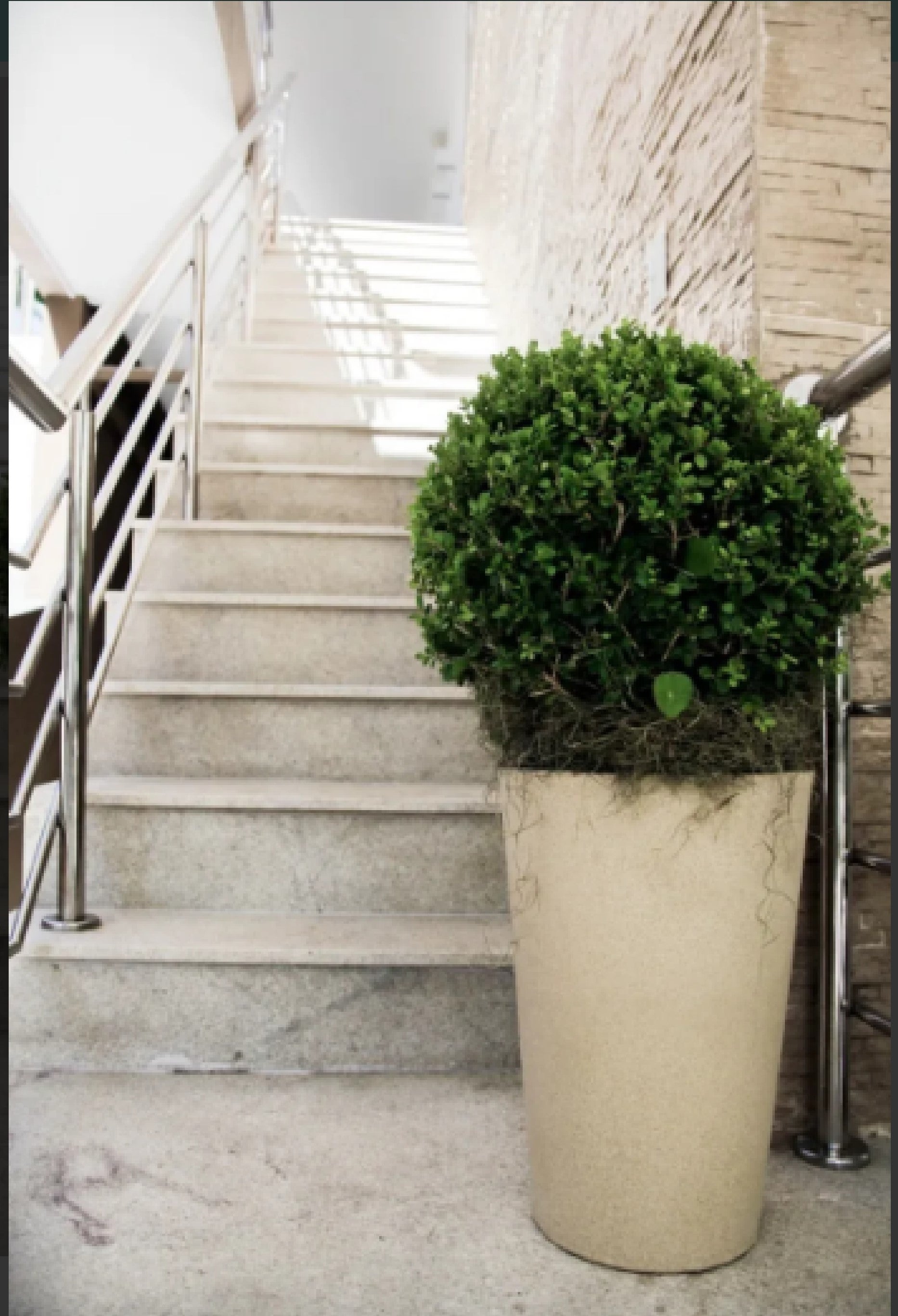 Aldora Conical flower pot 66 - Hoops