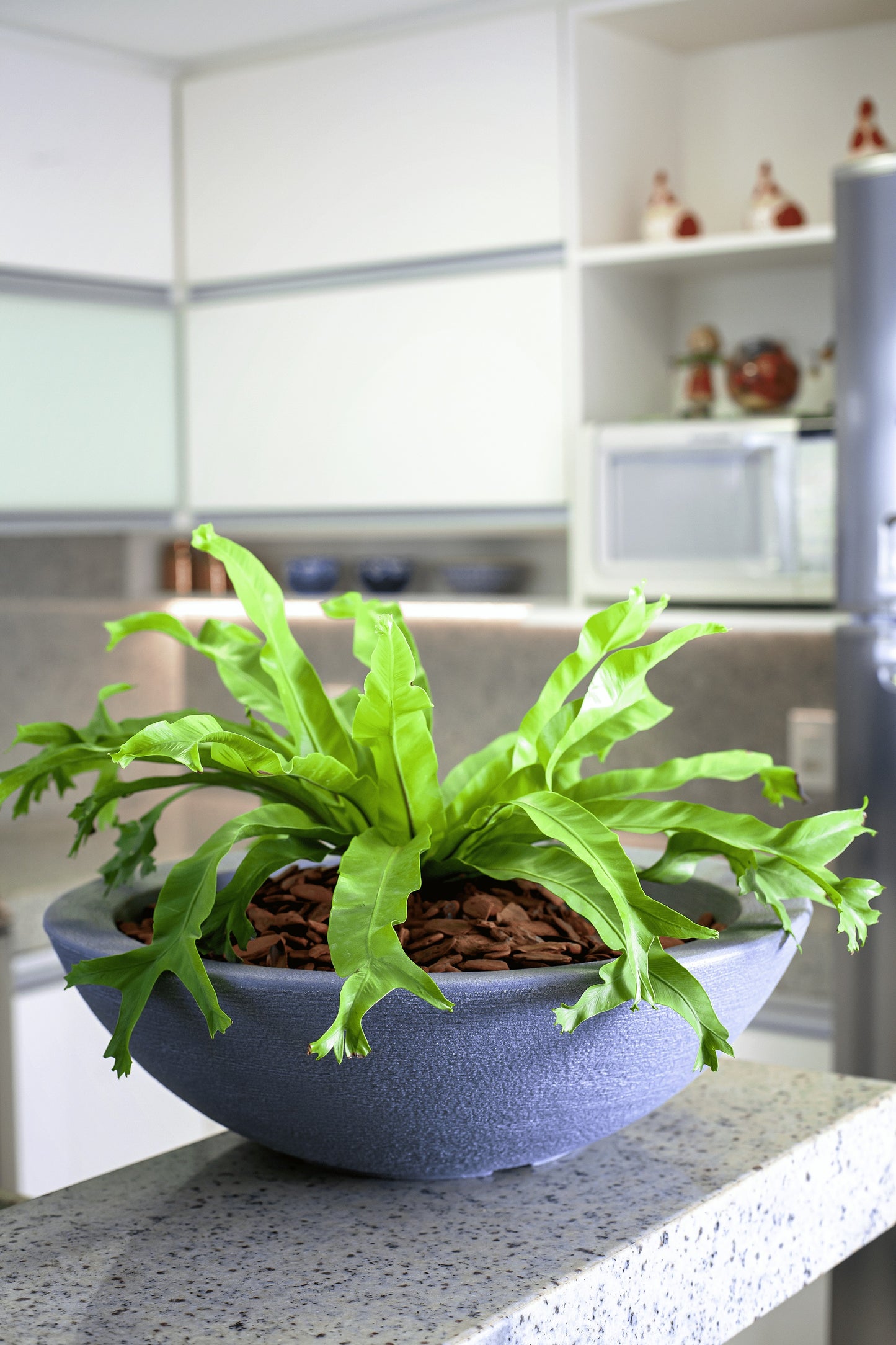 Verona flower pot 16 - Hoops