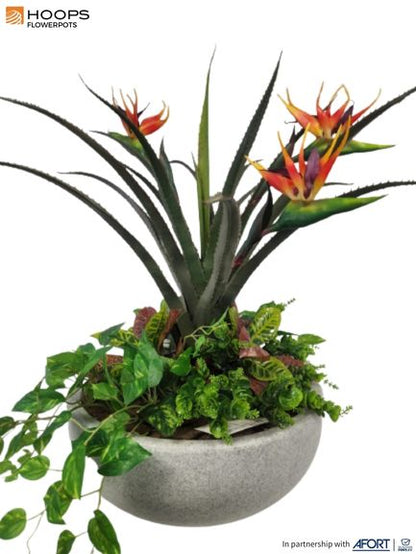 Pandamus with Birds of Paradise arrangement