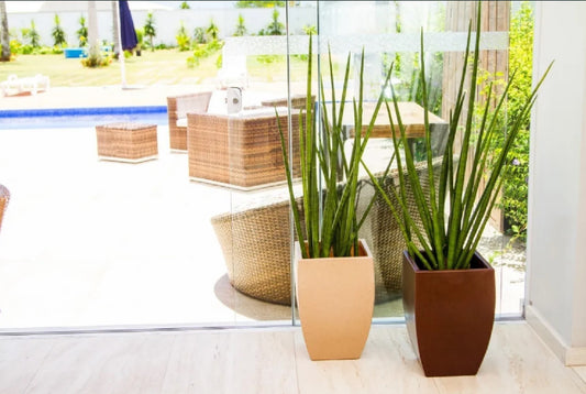 Apollo cubic flower pot 45 - Hoops