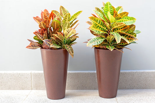 Aldora Conical flower pot 56 - Hoops