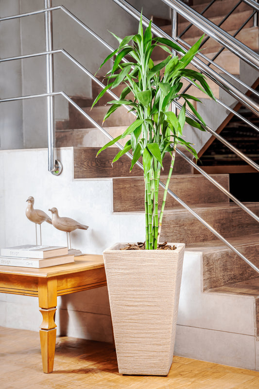 Malta cubic flower pot 53 - Hoops 