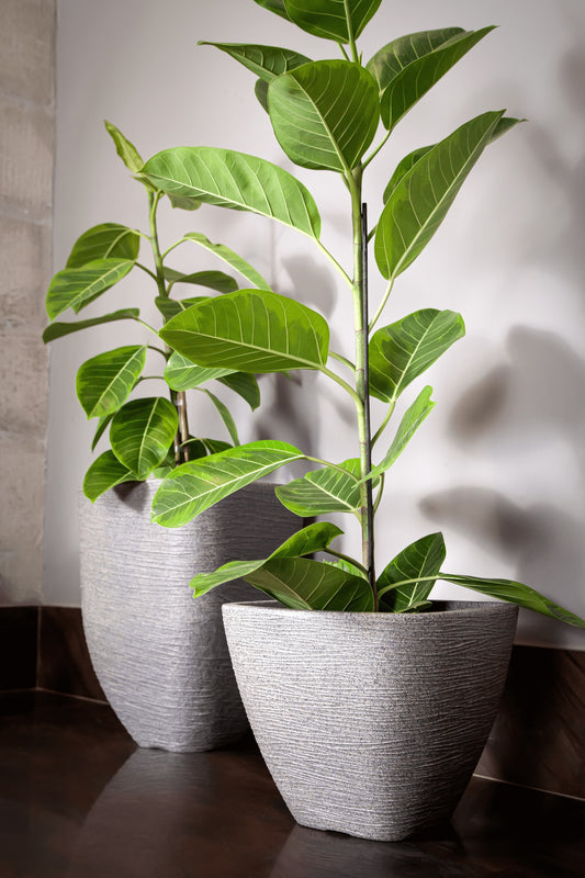 Nice cubic flower pot 47 - Hoops