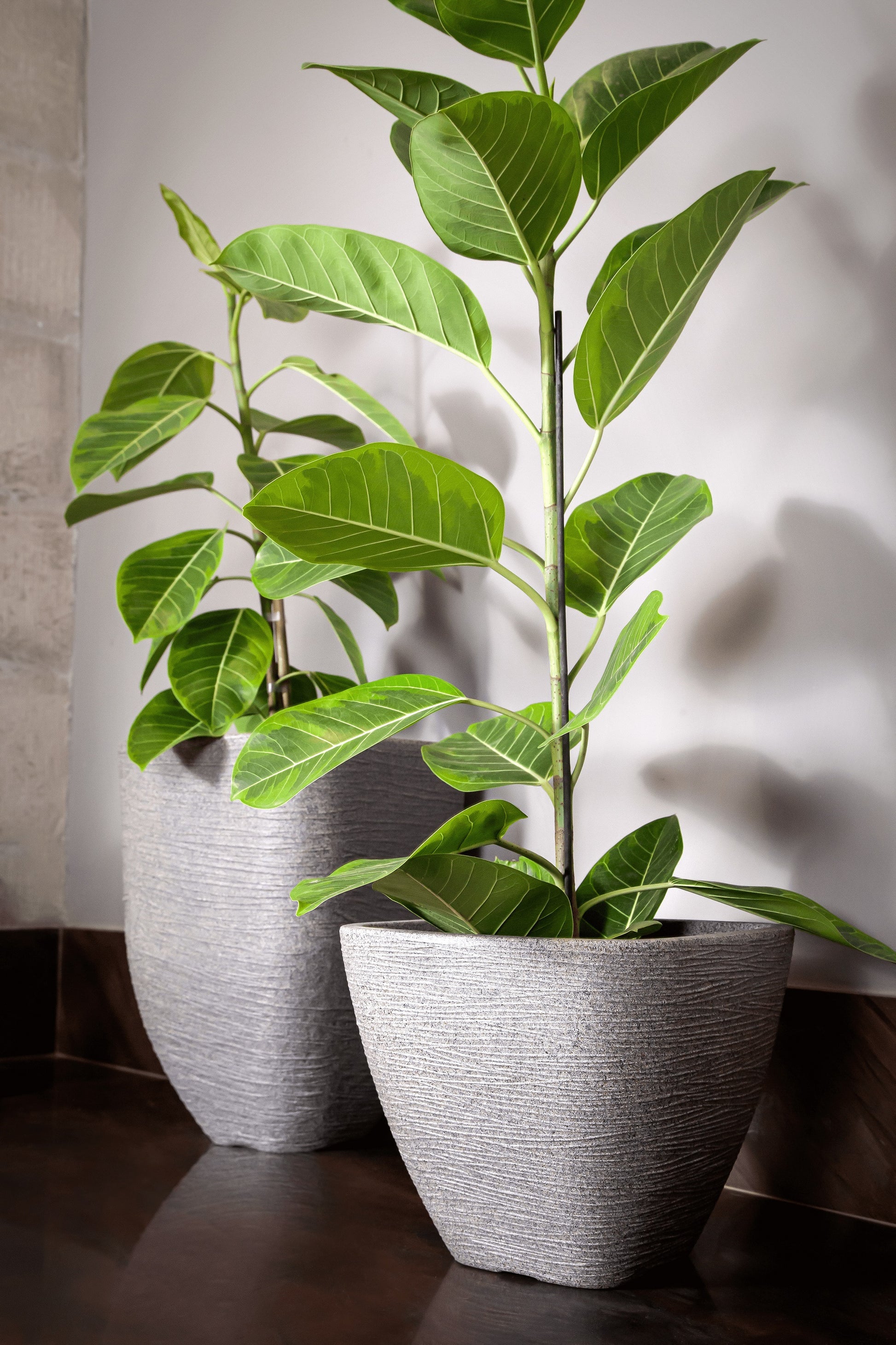 Nice cubic flower pot 47 - Hoops 