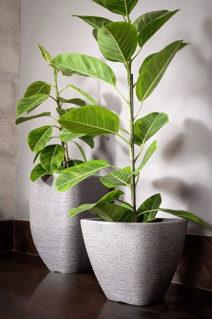 Nice cubic flower pot 47 - Hoops 